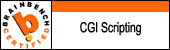 [3k CGI BRAINBENCH SCRIPTING CERTIFICATE]